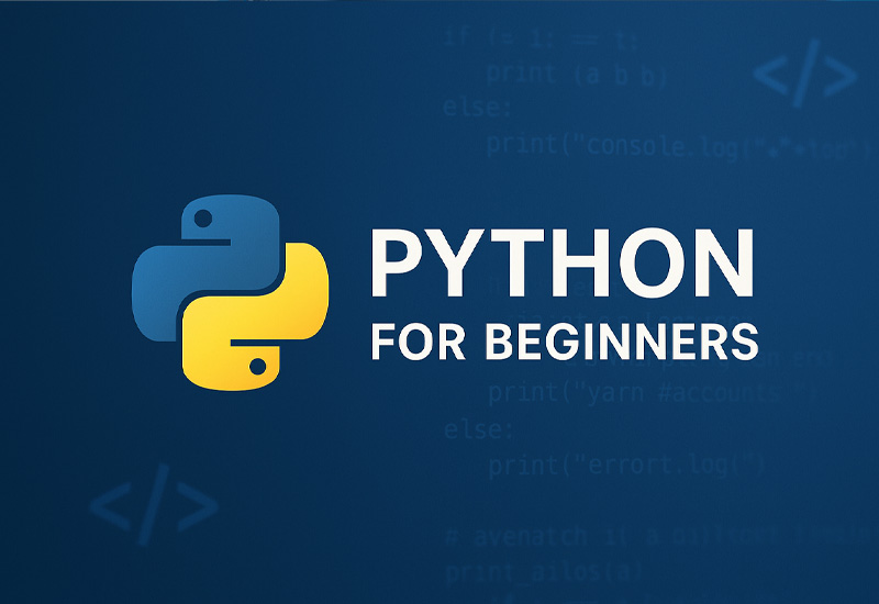 Python for Beginners